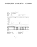 HYDROGEN/SYNGAS GENERATOR diagram and image