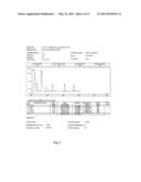 HYDROGEN/SYNGAS GENERATOR diagram and image