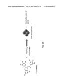 EGCG STABILIZED GOLD NANOPARTICLES AND METHOD FOR MAKING SAME diagram and image