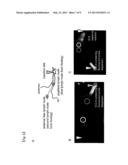 Fluorescent Probe for Imaging Lymph Nodes diagram and image