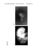 Fluorescent Probe for Imaging Lymph Nodes diagram and image