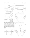 Fluorescent Probe for Imaging Lymph Nodes diagram and image