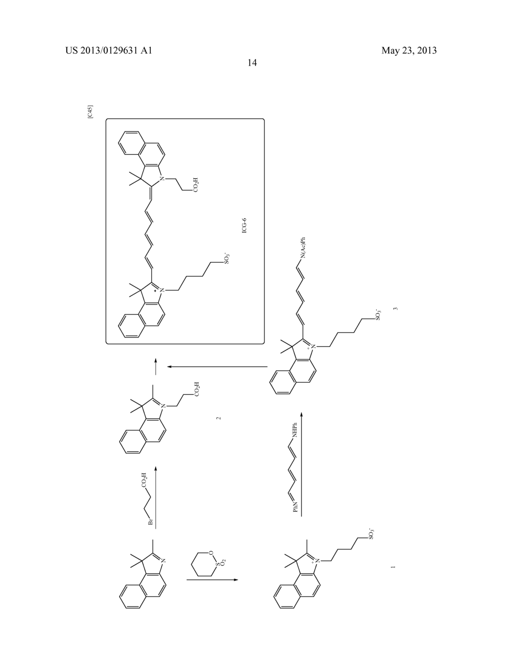 Fluorescent Probe for Imaging Lymph Nodes - diagram, schematic, and image 24