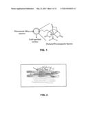 MULTIMODAL NANOPARTICLES FOR NON-INVASIVE BIO-IMAGING diagram and image