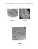 MULTIMODAL NANOPARTICLES FOR NON-INVASIVE BIO-IMAGING diagram and image