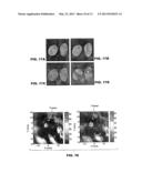 MULTIMODAL NANOPARTICLES FOR NON-INVASIVE BIO-IMAGING diagram and image