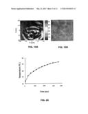 MULTIMODAL NANOPARTICLES FOR NON-INVASIVE BIO-IMAGING diagram and image