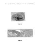 MULTIMODAL NANOPARTICLES FOR NON-INVASIVE BIO-IMAGING diagram and image