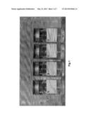 BIOMATERIAL CONTAINING DEGRADATION STABILIZED POLYMER diagram and image