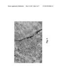 BIOMATERIAL CONTAINING DEGRADATION STABILIZED POLYMER diagram and image