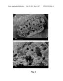 BIOMATERIAL CONTAINING DEGRADATION STABILIZED POLYMER diagram and image