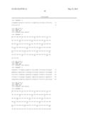 INNOVATIVE DISCOVERY OF THERAPEUTIC, DIAGNOSTIC, AND ANTIBODY COMPOSITIONS     RELATED TO PROTEIN FRAGMENTS OF CYSTEINYL-tRNA SYNTHETASE diagram and image