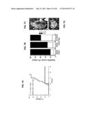 REGULATORY IMMUNE CELLS WITH ENHANCED TARGETED CELL DEATH EFFECT diagram and image