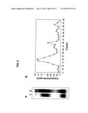 Broad Spectrum Vaccine Against Typhoidal and Non-typhoidal Salmonella     Disease diagram and image