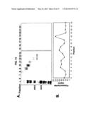 Broad Spectrum Vaccine Against Typhoidal and Non-typhoidal Salmonella     Disease diagram and image