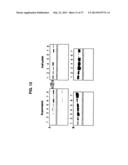 Broad Spectrum Vaccine Against Typhoidal and Non-typhoidal Salmonella     Disease diagram and image