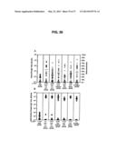 Broad Spectrum Vaccine Against Typhoidal and Non-typhoidal Salmonella     Disease diagram and image