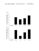 INSECT-REPELLENT OR INSECTICIDAL COMPOSITION COMPRISING EXTRACT OR     FRACTION OF PHELLODENDRON AMURENSE AS AN EFFECTIVE INGREDIENT FOR     CONSERVATION OF CULTURAL HERITAGE diagram and image