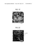 LOW-DENSITY WEB AND METHOD OF APPLYING AN ADDITIVE COMPOSITION THERETO diagram and image