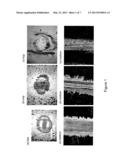 ANTI-FRETTING WEAR COATING FOR SUBSTRATES diagram and image