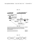 Bioinformatically detectable group of novel viral regulatory genes and     uses thereof diagram and image