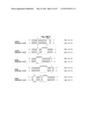 Bioinformatically detectable group of novel viral regulatory genes and     uses thereof diagram and image