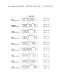 Bioinformatically detectable group of novel viral regulatory genes and     uses thereof diagram and image