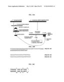 Bioinformatically detectable group of novel viral regulatory genes and     uses thereof diagram and image