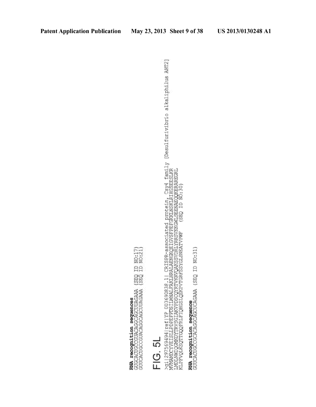 ENDORIBONUCLEASE COMPOSITIONS AND METHODS OF USE THEREOF - diagram, schematic, and image 10