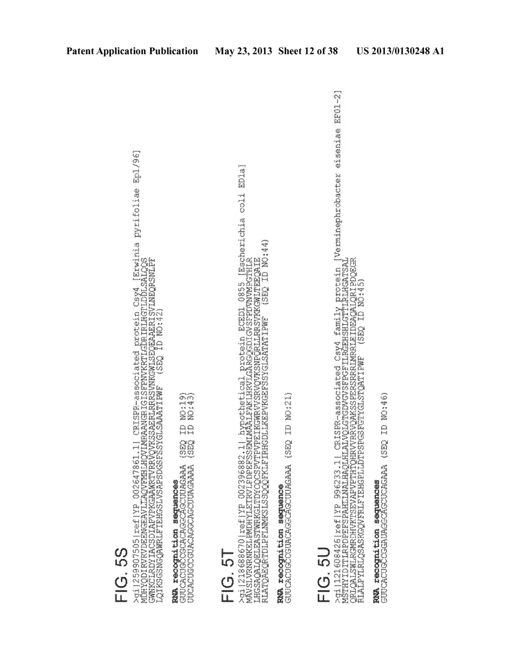 ENDORIBONUCLEASE COMPOSITIONS AND METHODS OF USE THEREOF - diagram, schematic, and image 13