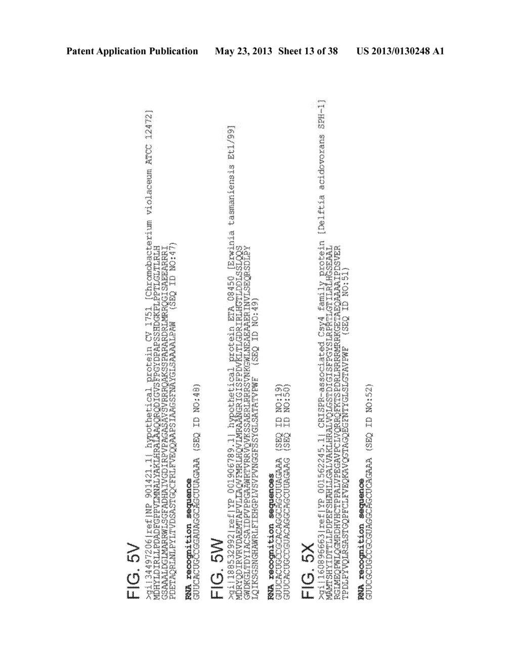 ENDORIBONUCLEASE COMPOSITIONS AND METHODS OF USE THEREOF - diagram, schematic, and image 14