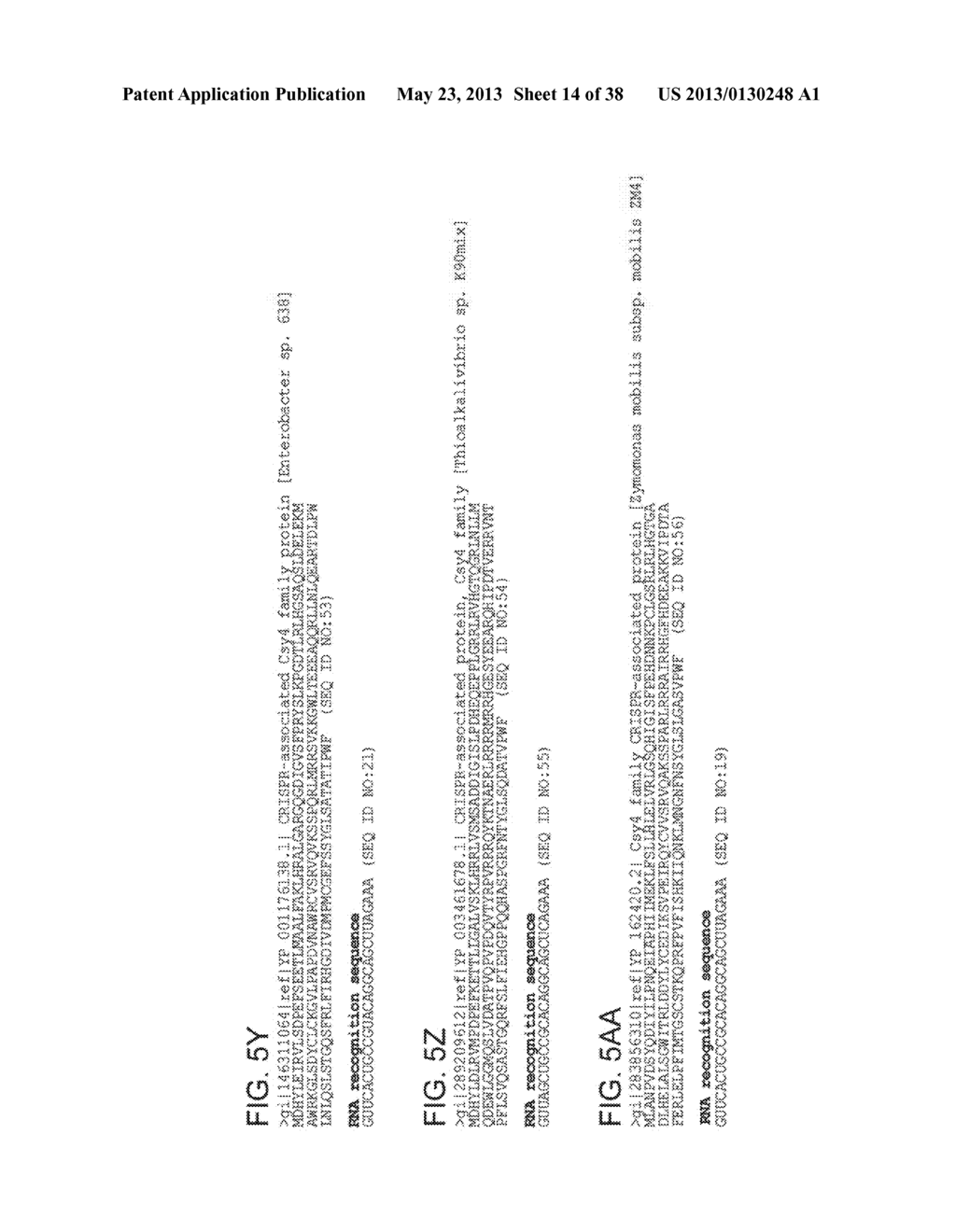 ENDORIBONUCLEASE COMPOSITIONS AND METHODS OF USE THEREOF - diagram, schematic, and image 15