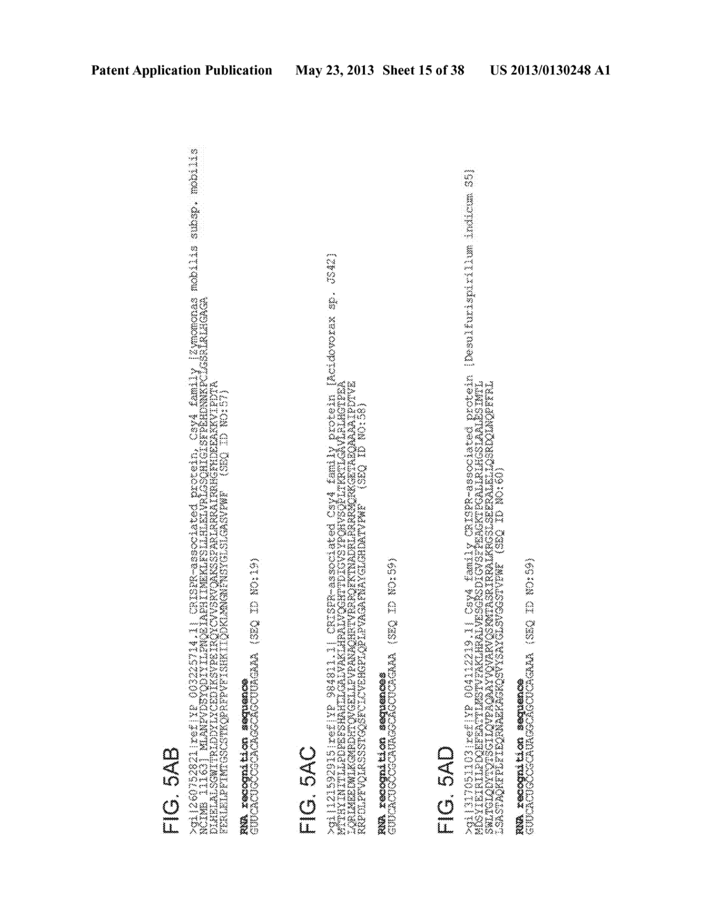 ENDORIBONUCLEASE COMPOSITIONS AND METHODS OF USE THEREOF - diagram, schematic, and image 16