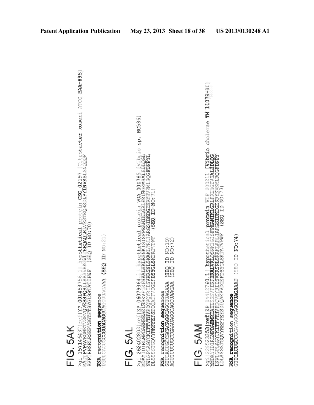 ENDORIBONUCLEASE COMPOSITIONS AND METHODS OF USE THEREOF - diagram, schematic, and image 19