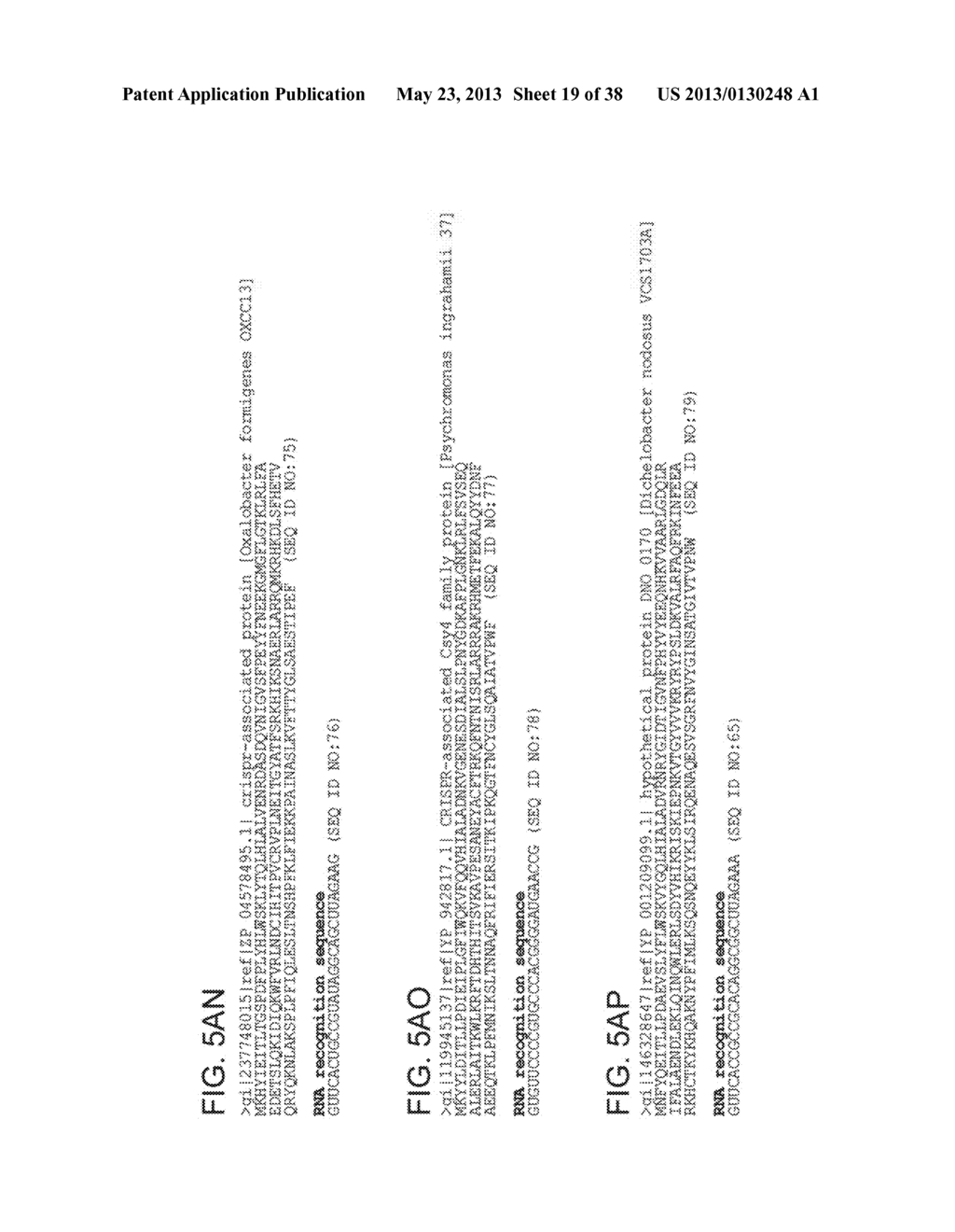 ENDORIBONUCLEASE COMPOSITIONS AND METHODS OF USE THEREOF - diagram, schematic, and image 20