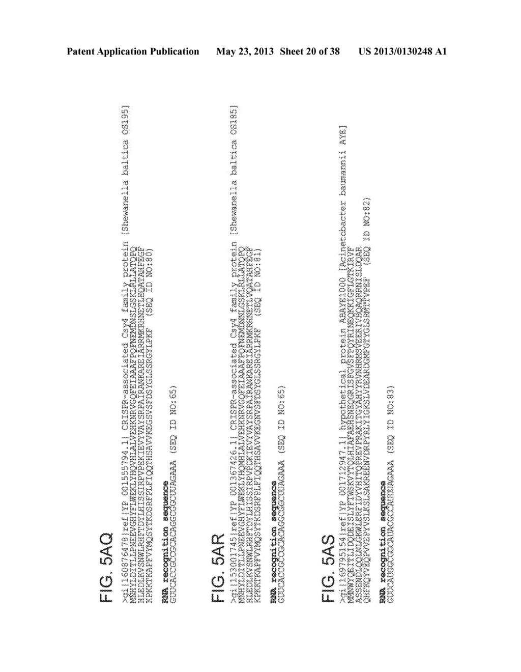 ENDORIBONUCLEASE COMPOSITIONS AND METHODS OF USE THEREOF - diagram, schematic, and image 21