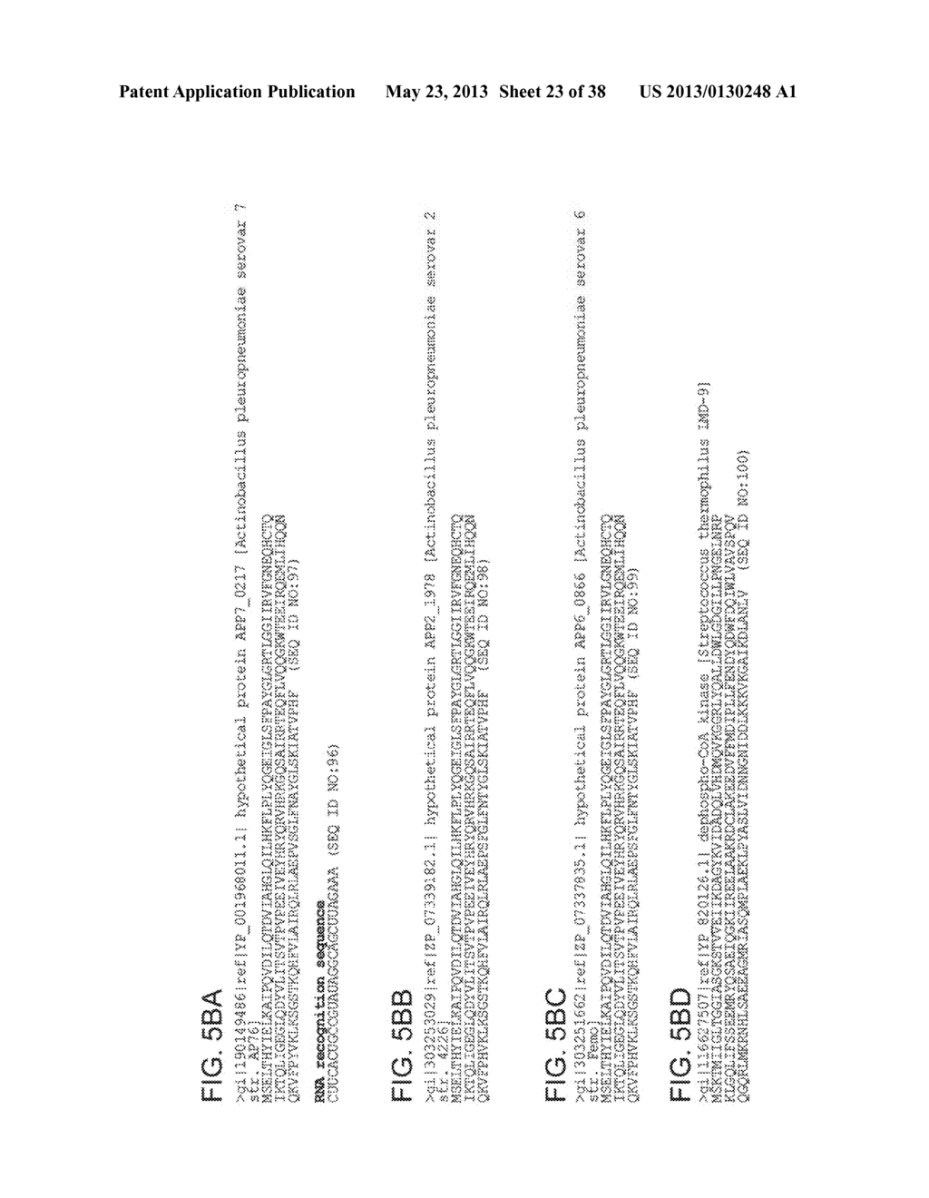 ENDORIBONUCLEASE COMPOSITIONS AND METHODS OF USE THEREOF - diagram, schematic, and image 24