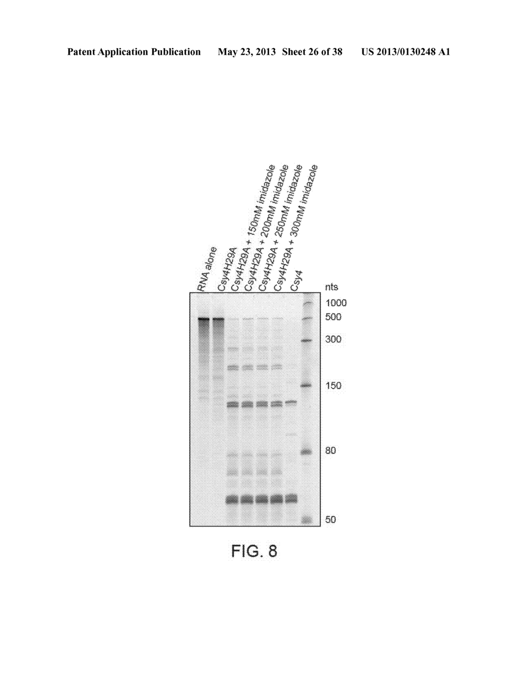 ENDORIBONUCLEASE COMPOSITIONS AND METHODS OF USE THEREOF - diagram, schematic, and image 27