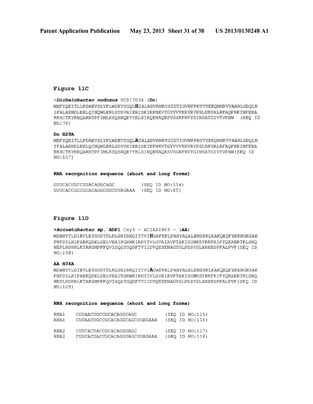 ENDORIBONUCLEASE COMPOSITIONS AND METHODS OF USE THEREOF - diagram, schematic, and image 32