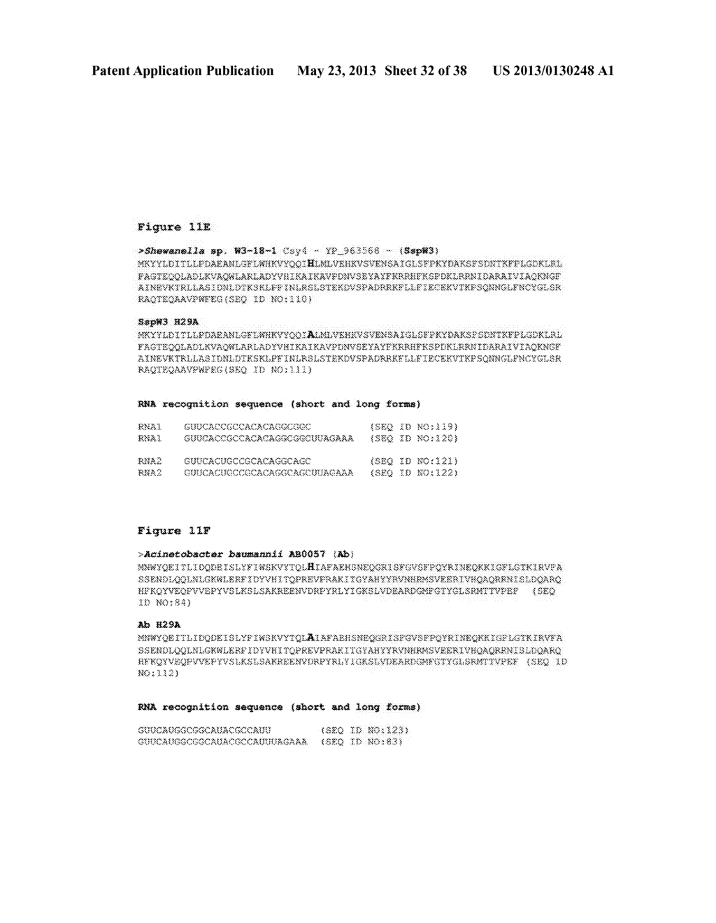 ENDORIBONUCLEASE COMPOSITIONS AND METHODS OF USE THEREOF - diagram, schematic, and image 33