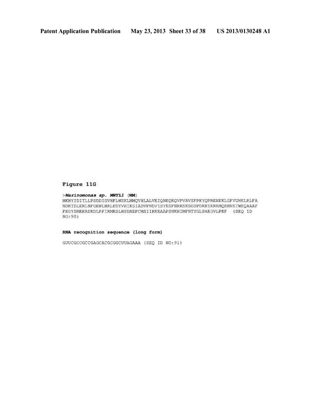 ENDORIBONUCLEASE COMPOSITIONS AND METHODS OF USE THEREOF - diagram, schematic, and image 34