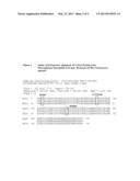 METRONIDAZOLE RESISTANCE IN TRICHOMONAS VAGINALIS AND SINGLE NUCLEOTIDE     POLYMORPHISMS diagram and image