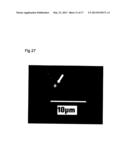 METHOD, REAGENT, AND APPARATUS FOR DETECTING A CHEMICAL CHELATOR diagram and image