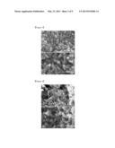 ENZYME-FIBER MATRIX COMPOSITE OF THREE-DIMENSIONAL NETWORK STRUCTURE,     PREPARATION METHOD THEREOF, AND USE THEREOF diagram and image