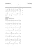 METHOD OF SYNTHESIZING A SUPPRESSOR tRNA, DNA CONSTRUCT AND USE THEREOF     FOR PRODUCING A NON-NATURAL AMINO ACID-INCORPORATED PROTEIN diagram and image