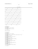 METHOD OF SYNTHESIZING A SUPPRESSOR tRNA, DNA CONSTRUCT AND USE THEREOF     FOR PRODUCING A NON-NATURAL AMINO ACID-INCORPORATED PROTEIN diagram and image