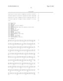 METHOD OF SYNTHESIZING A SUPPRESSOR tRNA, DNA CONSTRUCT AND USE THEREOF     FOR PRODUCING A NON-NATURAL AMINO ACID-INCORPORATED PROTEIN diagram and image