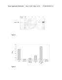 Expression of Proteins in Plants diagram and image