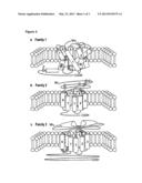 AMINO ACID SEQUENCES DIRECTED AGAINST GPCRS AND POLYPEPTIDES COMPRISING     THE SAME FOR THE TREATMENT OF GPCR-RELATED DISEASES AND DISORDERS diagram and image