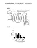 AMINO ACID SEQUENCES DIRECTED AGAINST GPCRS AND POLYPEPTIDES COMPRISING     THE SAME FOR THE TREATMENT OF GPCR-RELATED DISEASES AND DISORDERS diagram and image